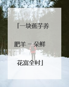 一块蕉芋养肥羊 一朵鲜花富全村