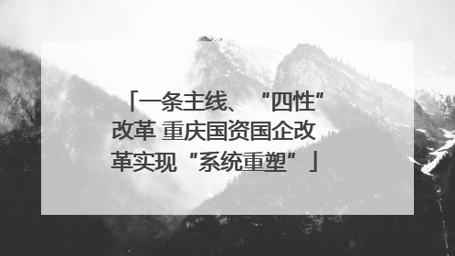 一条主线、“四性”改革 重庆国资国企改革实现“系统重塑”
