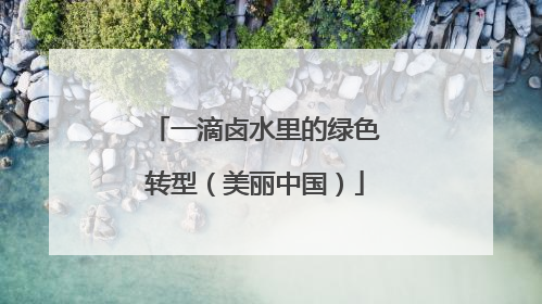 一滴卤水里的绿色转型（美丽中国）