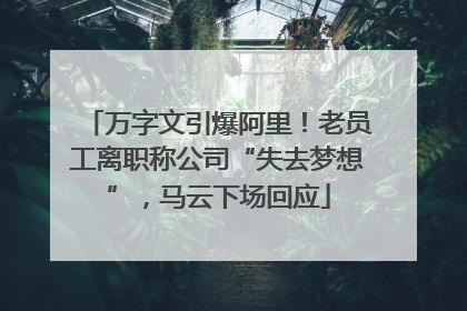 万字文引爆阿里！老员工离职称公司“失去梦想”，马云下场回应