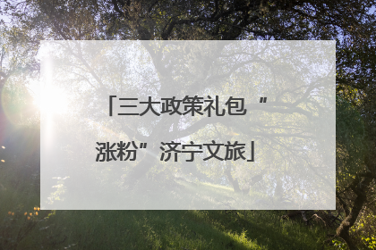 三大政策礼包“涨粉”济宁文旅