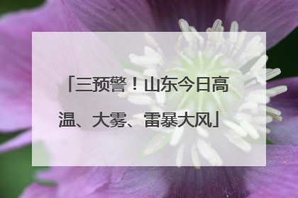 三预警！山东今日高温、大雾、雷暴大风