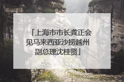 上海市市长龚正会见马来西亚沙捞越州副总理沈桂贤