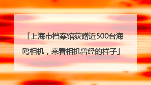 上海市档案馆获赠近500台海鸥相机，来看相机曾经的样子