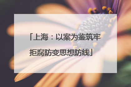 上海：以案为鉴筑牢拒腐防变思想防线