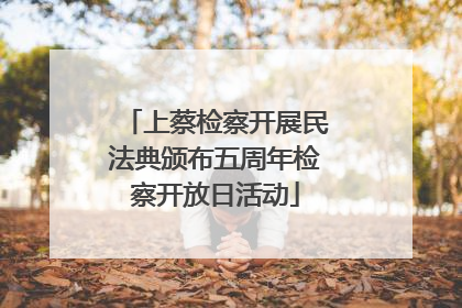 上蔡检察开展民法典颁布五周年检察开放日活动