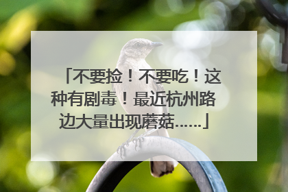 不要捡！不要吃！这种有剧毒！最近杭州路边大量出现蘑菇……
