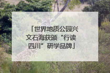 世界地质公园兴文石海获颁“行读四川”研学品牌