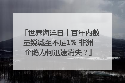 世界海洋日丨百年内数量锐减至不足1% 非洲企鹅为何迅速消失？