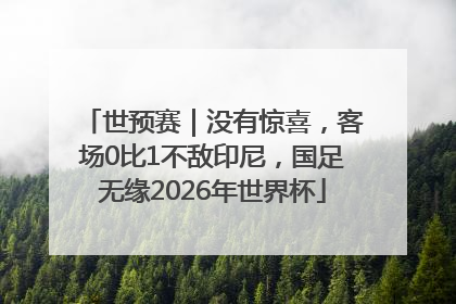 世预赛｜没有惊喜，客场0比1不敌印尼，国足无缘2026年世界杯