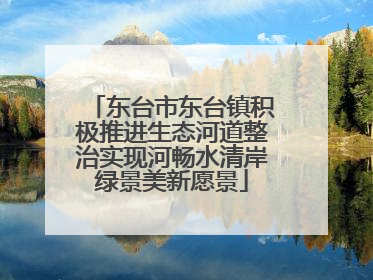 东台市东台镇积极推进生态河道整治实现河畅水清岸绿景美新愿景
