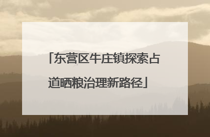 东营区牛庄镇探索占道晒粮治理新路径