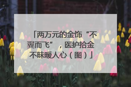 两万元的金饰“不翼而飞”，医护拾金不昧暖人心（图）