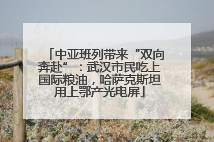 中亚班列带来“双向奔赴”：武汉市民吃上国际粮油，哈萨克斯坦用上鄂产光电屏