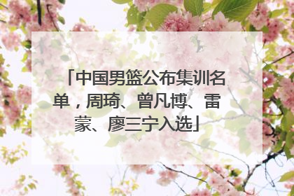 中国男篮公布集训名单，周琦、曾凡博、雷蒙、廖三宁入选