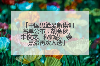 中国男篮最新集训名单公布，胡金秋、朱俊龙、程帅澎、余嘉豪再次入选