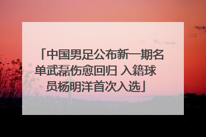 中国男足公布新一期名单武磊伤愈回归 入籍球员杨明洋首次入选