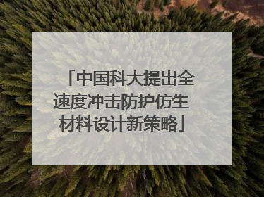 中国科大提出全速度冲击防护仿生材料设计新策略