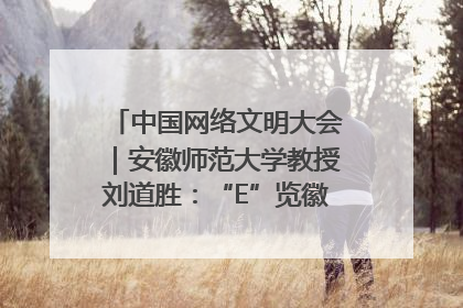 中国网络文明大会｜安徽师范大学教授刘道胜：“E”览徽风，构筑中华民族共有精神家园