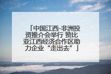 中国江西-非洲投资推介会举行 赞比亚江西经济合作区助力企业“走出去”