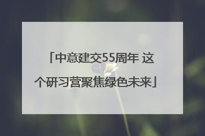 中意建交55周年 这个研习营聚焦绿色未来