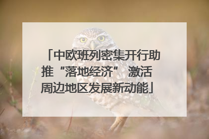 中欧班列密集开行助推“落地经济” 激活周边地区发展新动能
