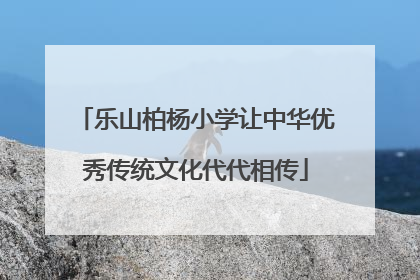乐山柏杨小学让中华优秀传统文化代代相传