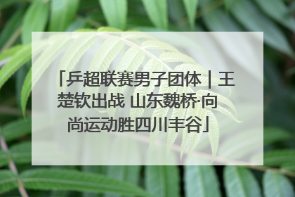 乒超联赛男子团体｜王楚钦出战 山东魏桥·向尚运动胜四川丰谷