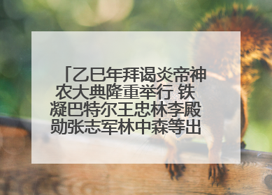乙巳年拜谒炎帝神农大典隆重举行 铁凝巴特尔王忠林李殿勋张志军林中森等出席 孙伟主持