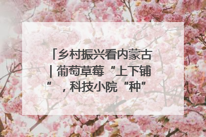 乡村振兴看内蒙古｜葡萄草莓“上下铺”，科技小院“种”出三倍效益