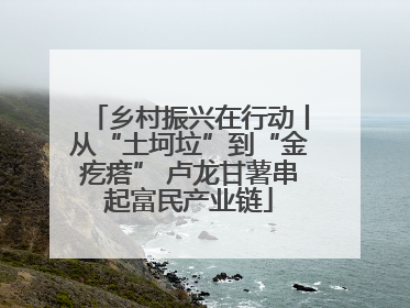 乡村振兴在行动丨从“土坷垃”到“金疙瘩” 卢龙甘薯串起富民产业链