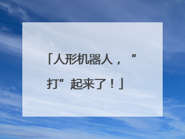 人形机器人，“打”起来了！
