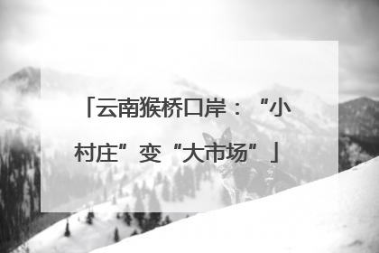 云南猴桥口岸：“小村庄”变“大市场”