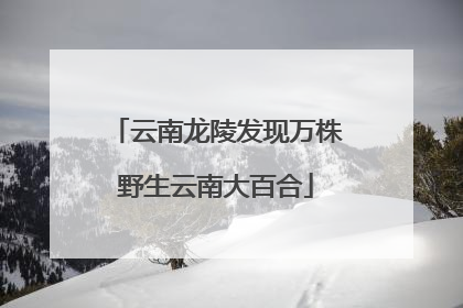 云南龙陵发现万株野生云南大百合