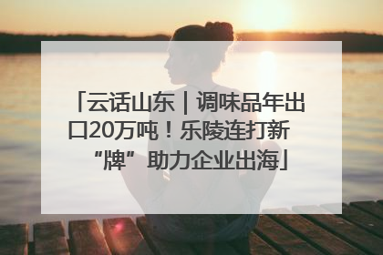 云话山东｜调味品年出口20万吨！乐陵连打新“牌”助力企业出海
