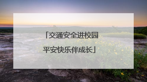 交通安全进校园 平安快乐伴成长
