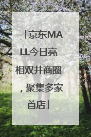 京东MALL今日亮相双井商圈，聚集多家首店