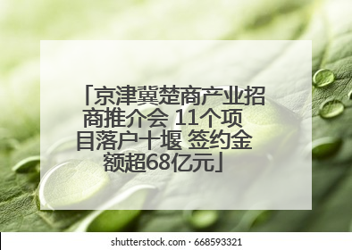 京津冀楚商产业招商推介会 11个项目落户十堰 签约金额超68亿元