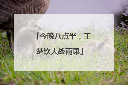 今晚八点半，王楚钦大战雨果