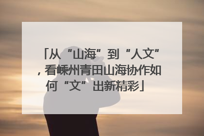 从“山海”到“人文”，看嵊州青田山海协作如何“文”出新精彩
