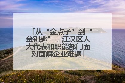 从“金点子”到“金钥匙”，江汉区人大代表和职能部门面对面解企业难题