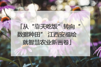 从“靠天吃饭”转向“数据种田” 江西安福绘就智慧农业新画卷
