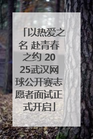 以热爱之名 赴青春之约 2025武汉网球公开赛志愿者面试正式开启