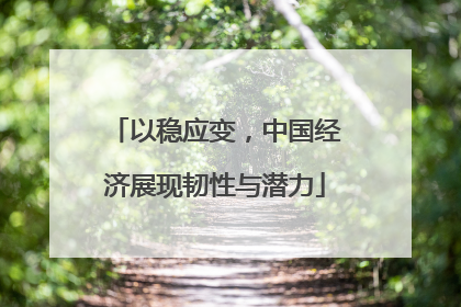 以稳应变，中国经济展现韧性与潜力