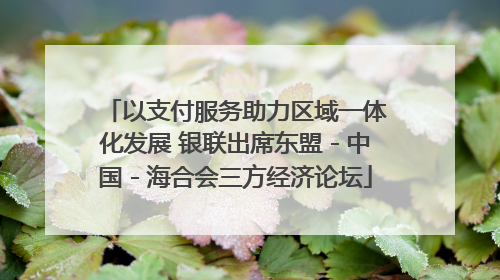 以支付服务助力区域一体化发展 银联出席东盟－中国－海合会三方经济论坛