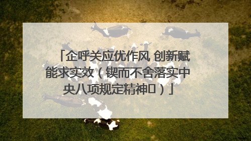 企呼关应优作风 创新赋能求实效（锲而不舍落实中央八项规定精神⑭）