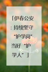 伊春公安：持续坚守“护学岗” 当好“护学人”