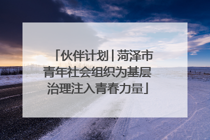 伙伴计划│菏泽市青年社会组织为基层治理注入青春力量
