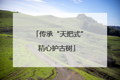 传承“天把式” 精心护古树