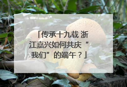 传承十九载 浙江嘉兴如何共庆“我们”的端午？
